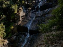 -大奇山国家森林公园