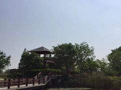 -长兴太湖图影湿地文化园