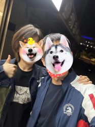 -付军剪艺JF ProSalon