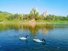 -北京野生动物园