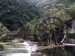 -靖西鹅泉风景区