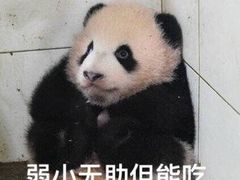 -五洲皇冠巴西烤肉餐厅