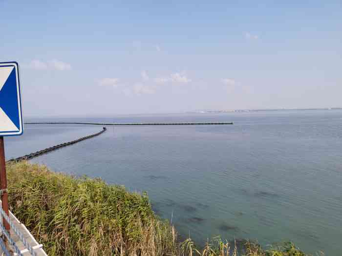 岱心湾-"苏州东山岱心湾也算是一个网红景点,主要是."-大众点评移动版