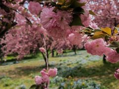 -苏州上方山国家森林公园