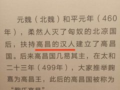 -安阳博物馆