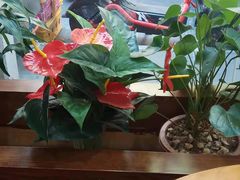 -清真全盛斋传统糕点(西羊市店)