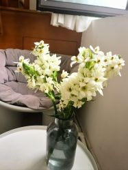 -安那般那皮肤年轻化ANAPANA