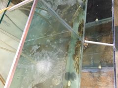 -川香阁(程家桥店)