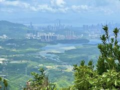 -阳台山森林公园