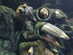 -珠海长隆海洋王国