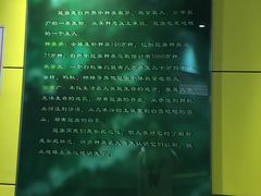 -上海昆虫博物馆