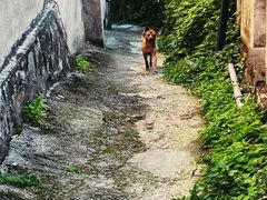 -戚继光纪念馆