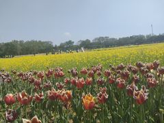 -北陵公园