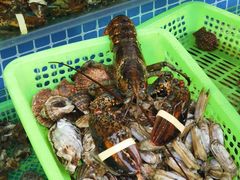 -富临港·蒸汽海鲜·手抓海鲜·炒菜(栈桥店)