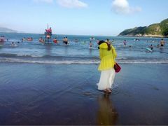 桃花岛阿伍排档-阿伍海鲜大排档(塔湾金沙店)