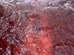 -春晖园度假酒店温泉