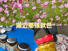 -西京湾花海