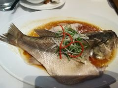 清蒸鲈鱼-汤城小厨•粤菜•靓汤(苏州街店)