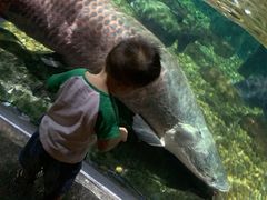 -暹罗海洋世界
