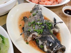 -明记海鲜大排档(巽寮湾店)