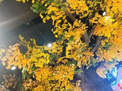 -好嫂子酱猪手•农家菜(学院南路店)