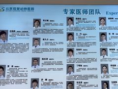 -北京观赏动物医院·24小时大型综合·猫专科·异宠专科
