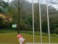 -缙云山景区