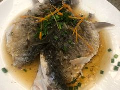 -悠悠美食