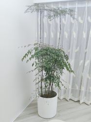 -HEYAN荷妍专业脱毛连锁机构