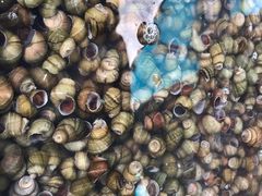 -青石桥市场北1-27号