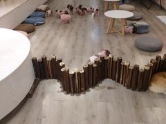-浣熊柯尔鸭土拨鼠·电玩咖