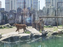 -上海野生动物园