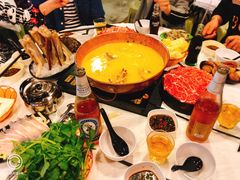 安格斯牛肉-鲜入围煮花胶鸡海鲜火锅