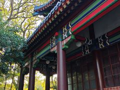 -灵谷景区