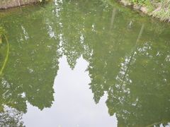 -东平国家森林公园