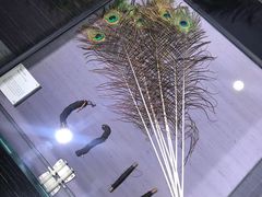 -万事利丝绸(杭州大厦店)