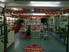 -瑞派宠物医院·24小时骨科·心脏·核磁(哈尔滨南岗店)
