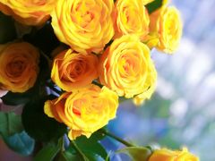 -鹿岛会员店 (龙湖三千集天街店)