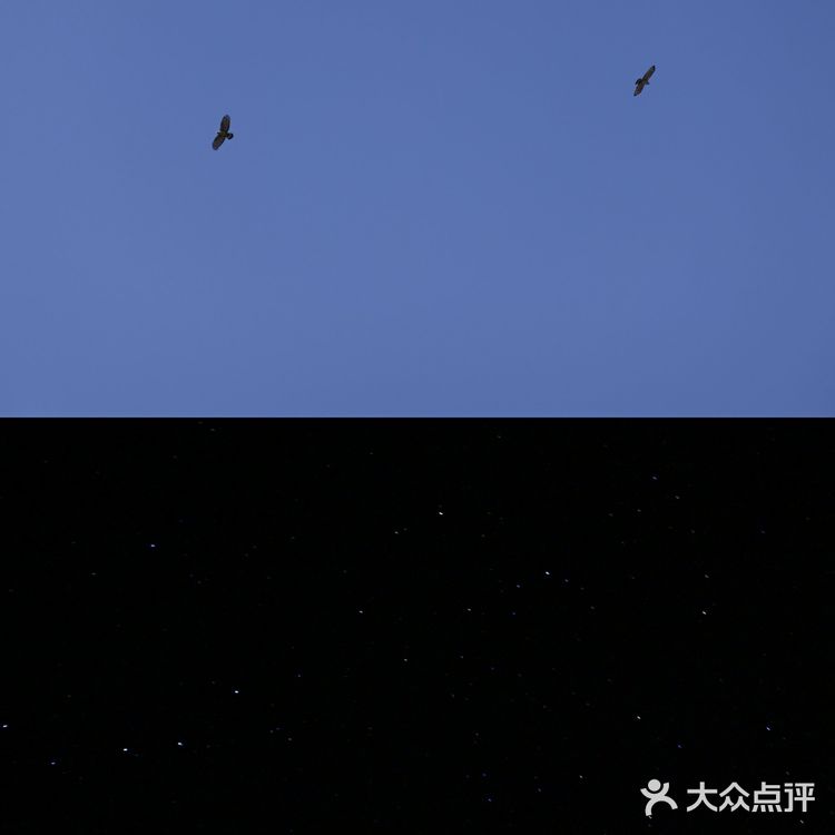 带着毛孩子🐶去灵山露营⛺️体验季节变化吧[加油]