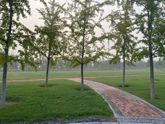 -北京国家会计学院