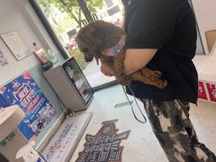 -纳吉亚猫专科动物医院·北北分院