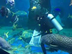 -北戴河圣蓝海洋公园