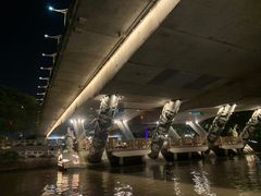 -运河游船(武林门码头)