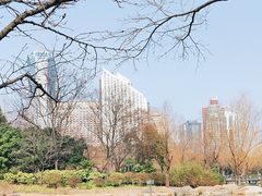 -新虹桥中心花园