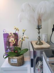 -海涛医疗美容·面部抗衰·注射美鼻