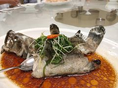 原味石斑鱼-渔民新村(番禺总店)