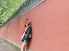 -北京国子监胡同
