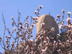 -北京凤凰岭