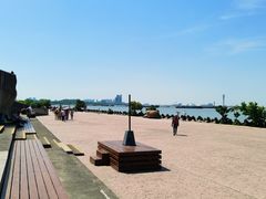 -上海滨江森林公园