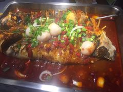 -鱼酷活鱼烤鱼(昆明路店)